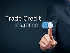TRADE CREDIT INSURANCE